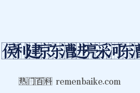 侯利建京东漕进亮采河东漕是什么意思的图片